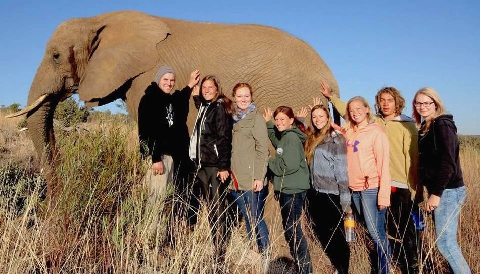 millennials with an elephant