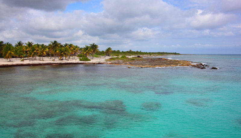 Mexican Beach of Mahahual Succeeds in Seaweed Cleanup Effort