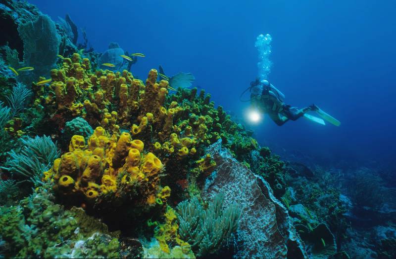 Tobago Tourism Dives into the U.S. Market