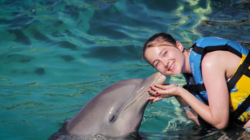 New Dolphin Discovery Park Coming to Cancun