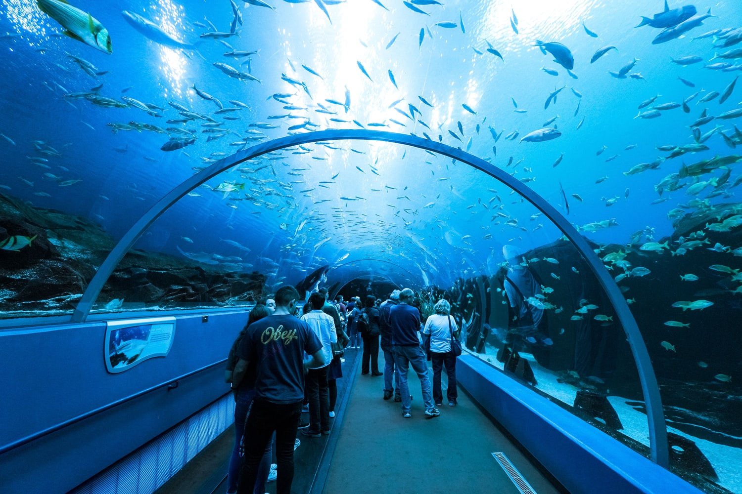 Georgia Aquarium