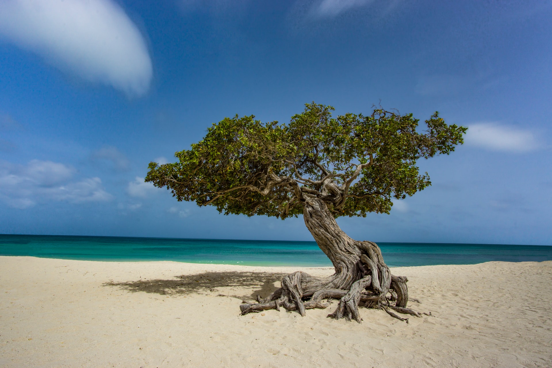 Aruba beach