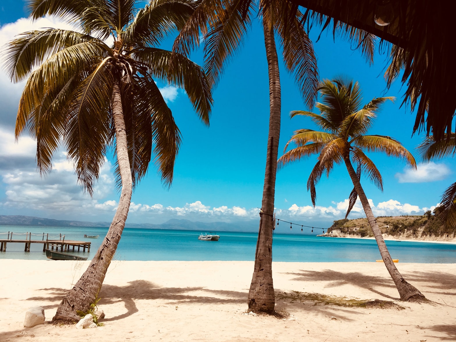 Caribbean beach, palm trees