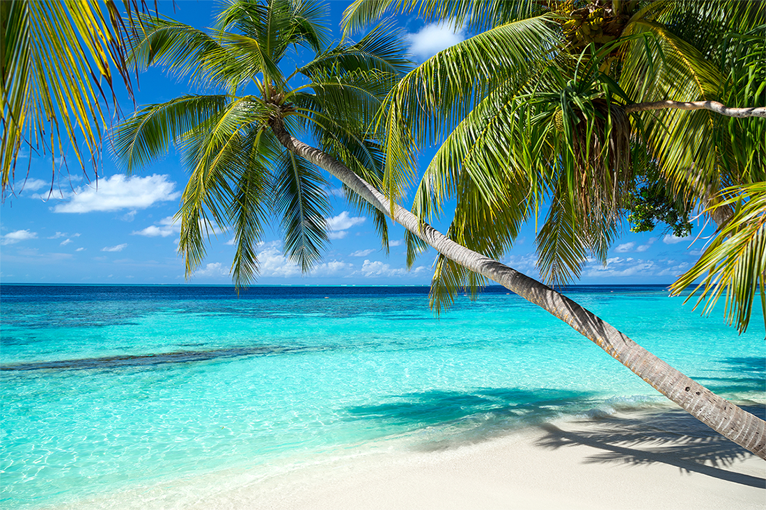 Caribbean beach