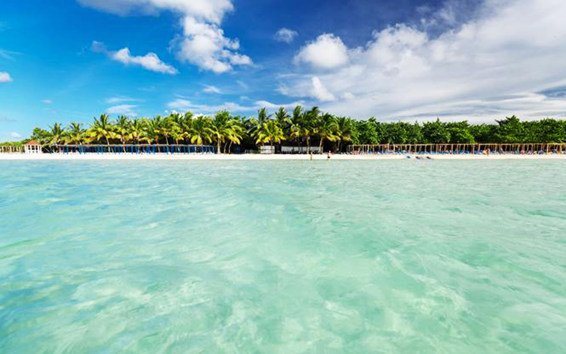 Cuba Cayo Coco coast