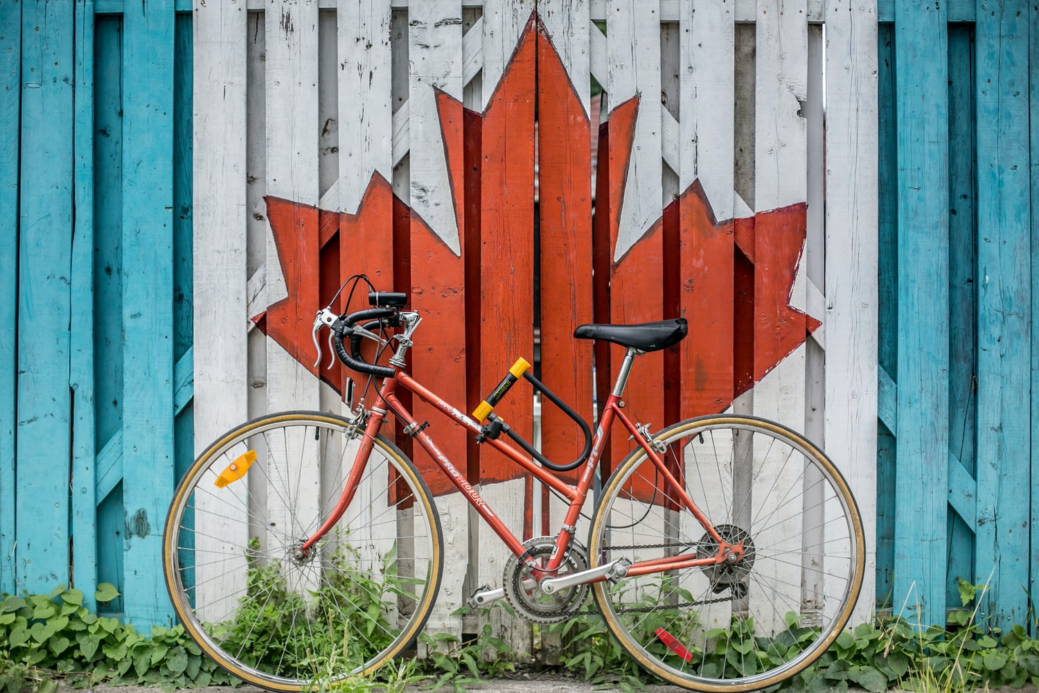 Canada, maple leaf on a fence, bicycle