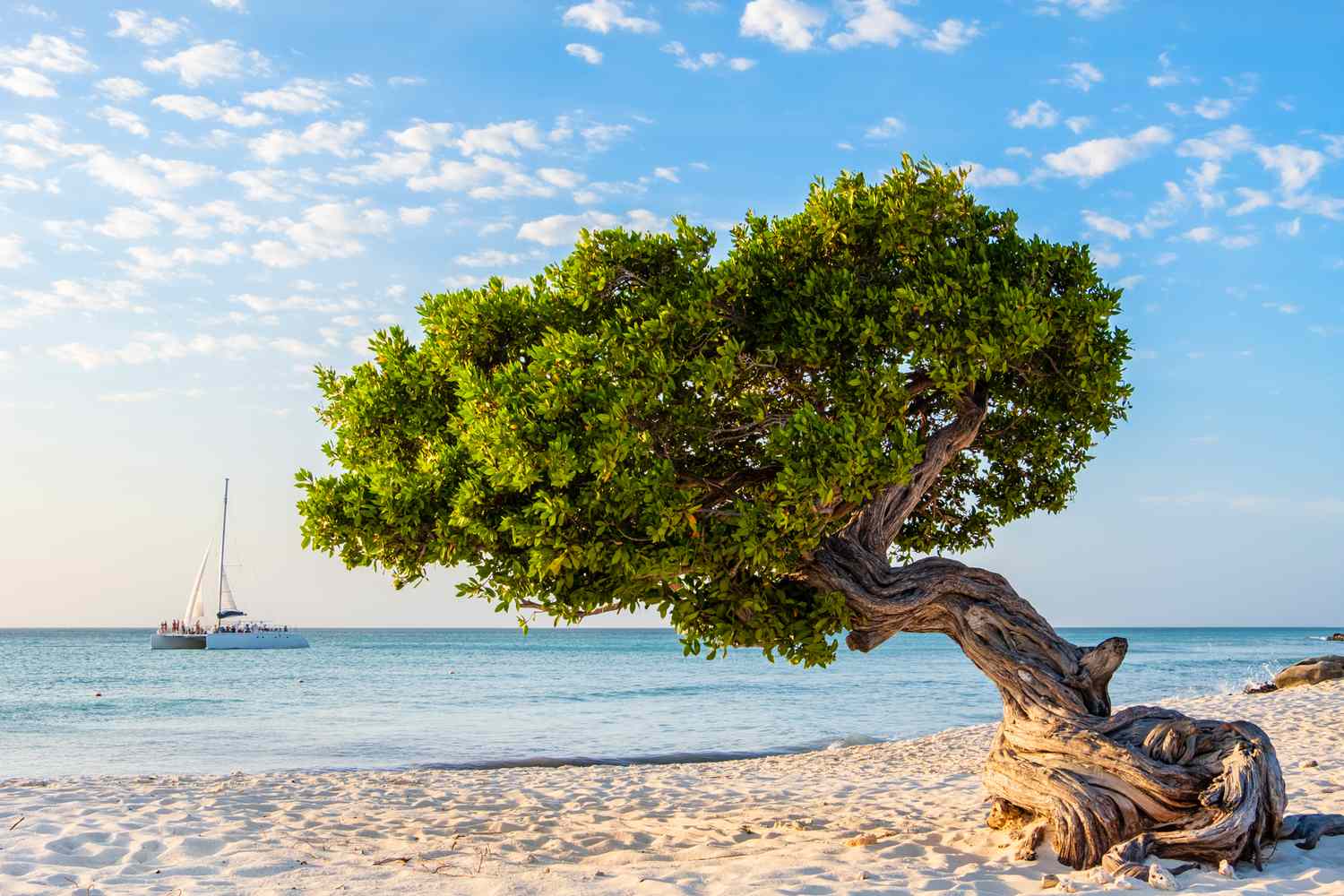 Aruba