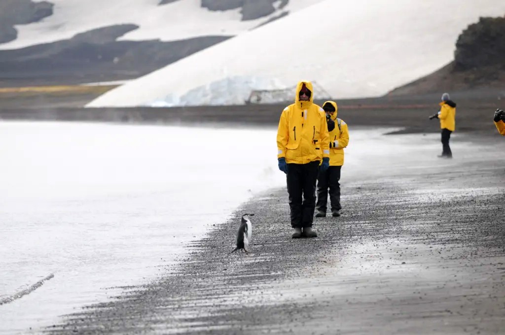 Beaches of Antarctica