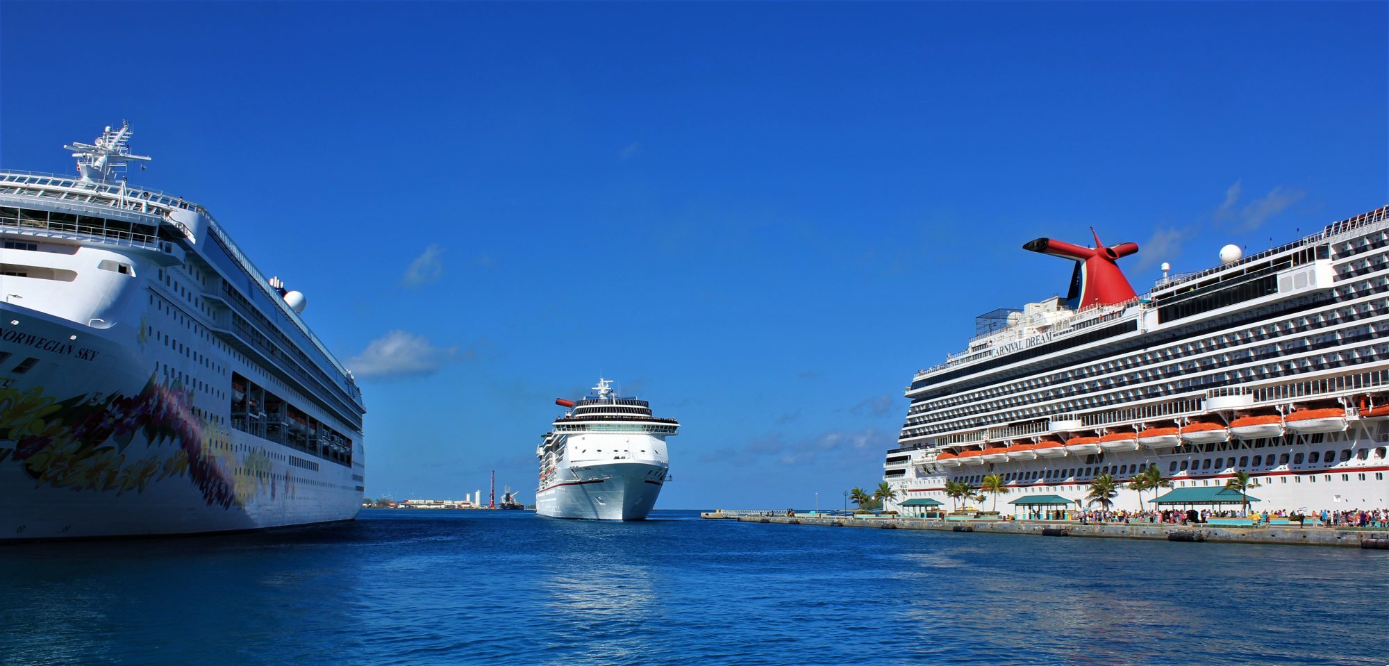 cruise lines