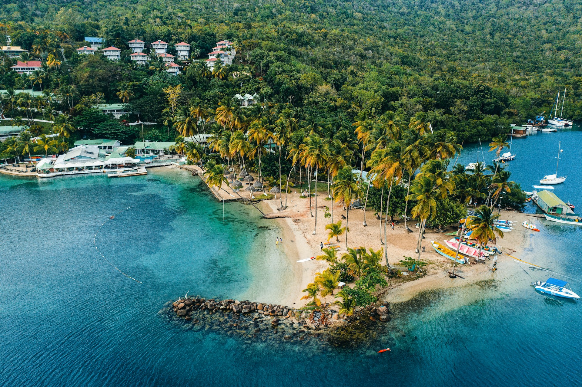Caribbean