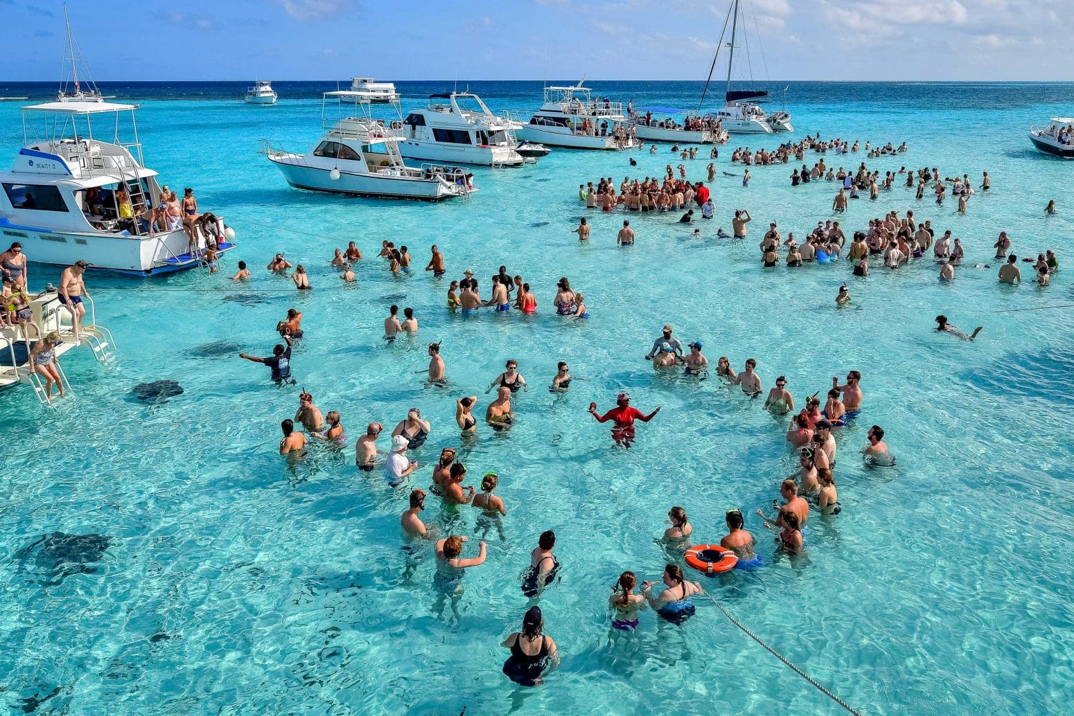 people in the beach