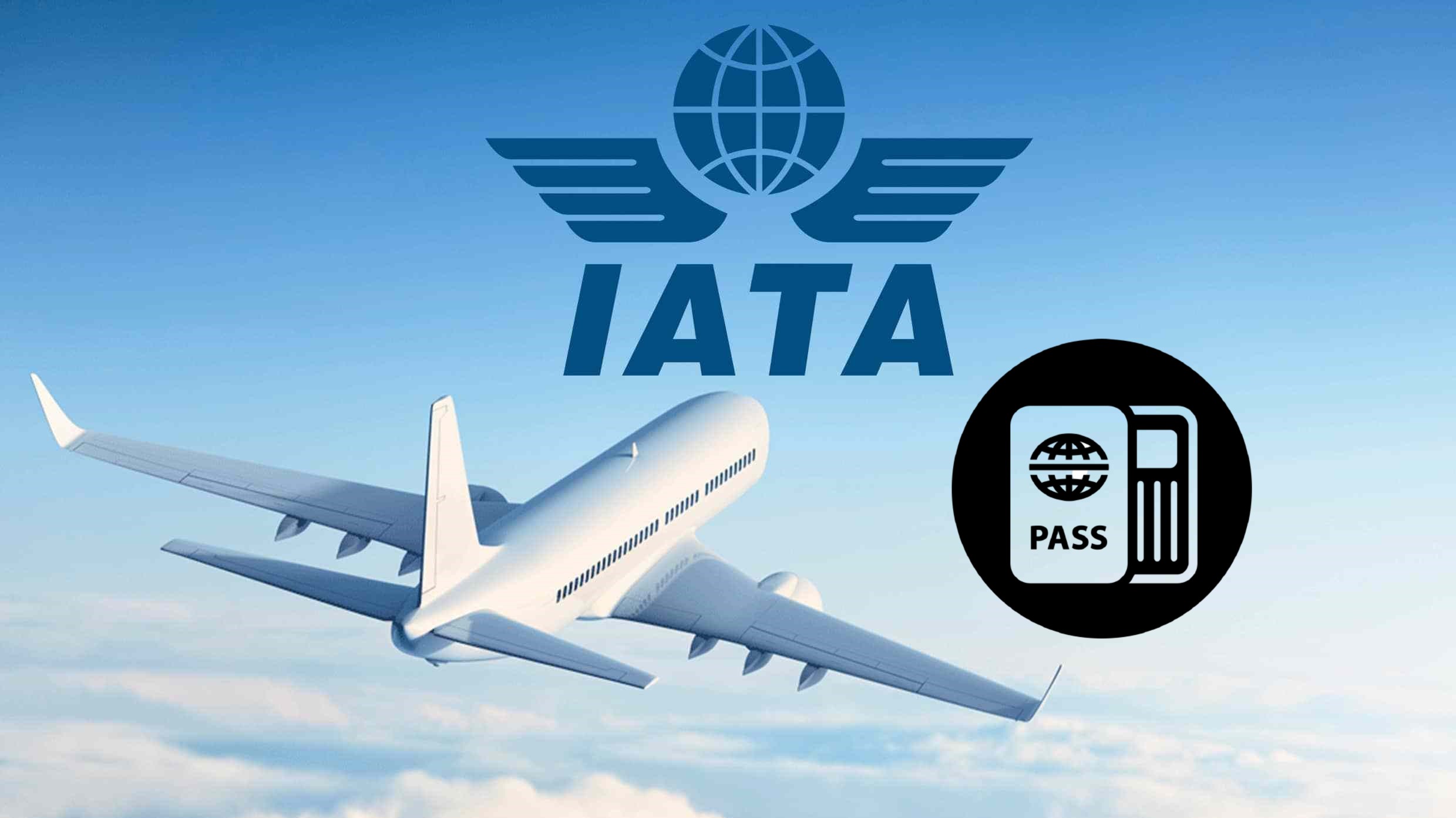 iata travel policy