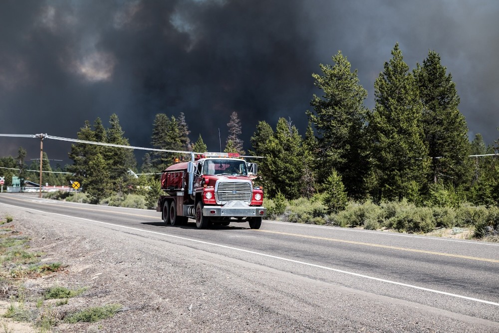 Wildfire
