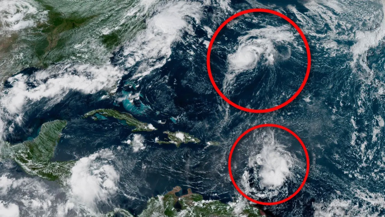 Invest99L