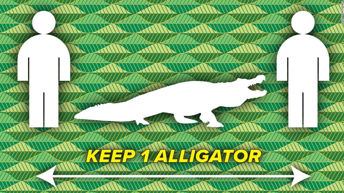 one alligator away sign in Leon county, Florida