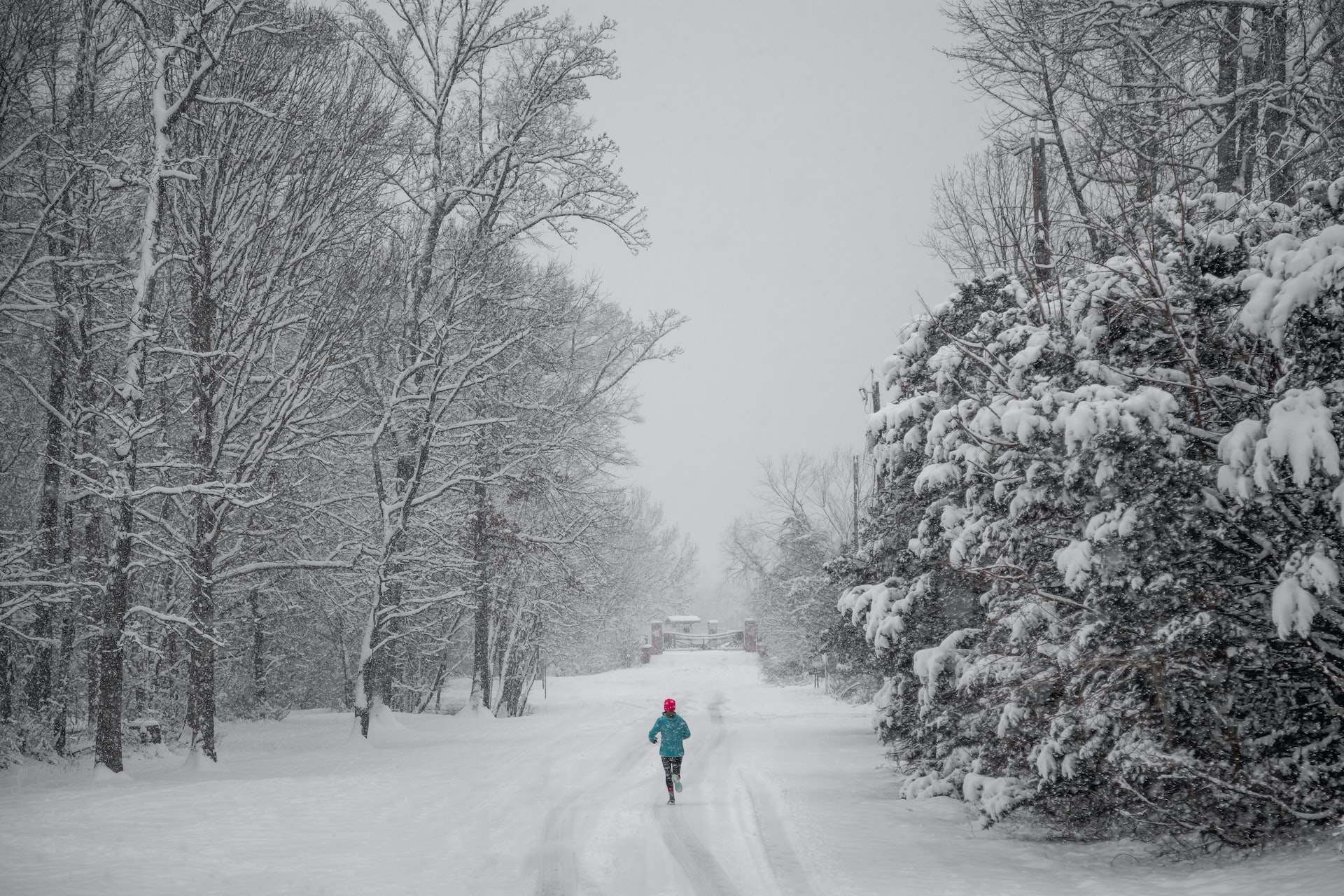 winter storm