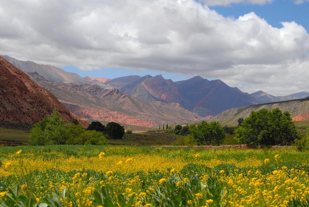 Argentina