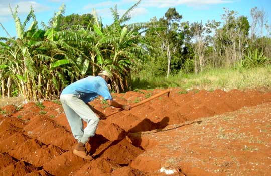 Jamaicans Encouraged to Join Farm Tourism
