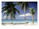 Preparations Underway for STC-9 on the Cayman Islands