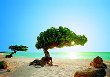 Aruba to Hold Fourth Annual Aruba Piano Festival