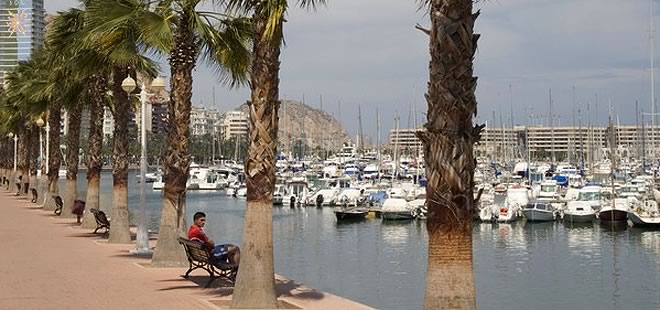 Alicante’s Cruise Bid