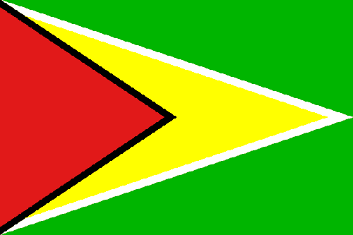 Guyana to Host STC-13 in 2012
