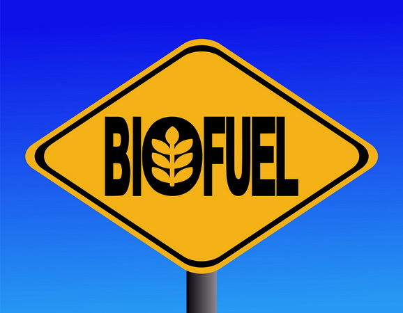 Boeing, GOL Collaborate to Increase Sustainable Aviation Biofuel Supply in Brazil