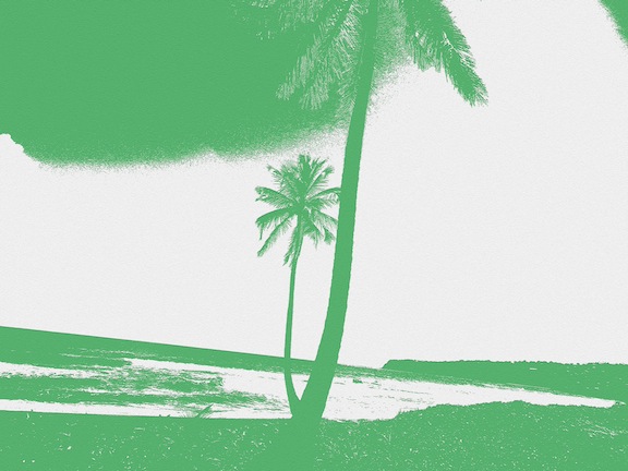 Why Caribbean Sustainability Is Smart