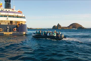 Celebrity Xpedition to Resume Galapagos Cruises June 30