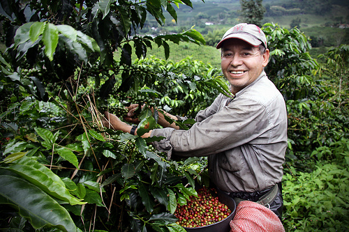 Coffee and Nature: The Two Powerhouses Promoted by Colombia at FITUR 2012