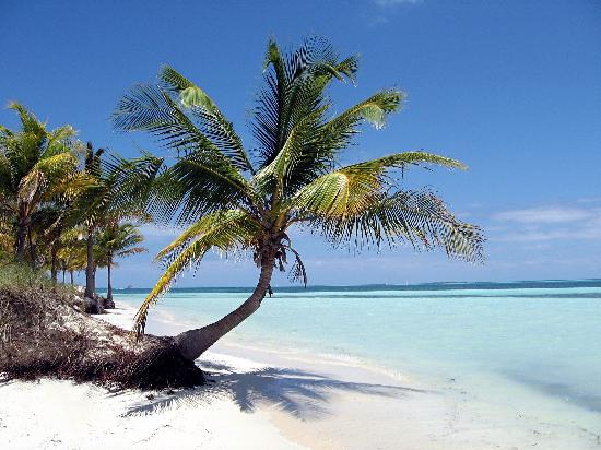 Cuba Hopes to Lead Caribbean Travel by 2030