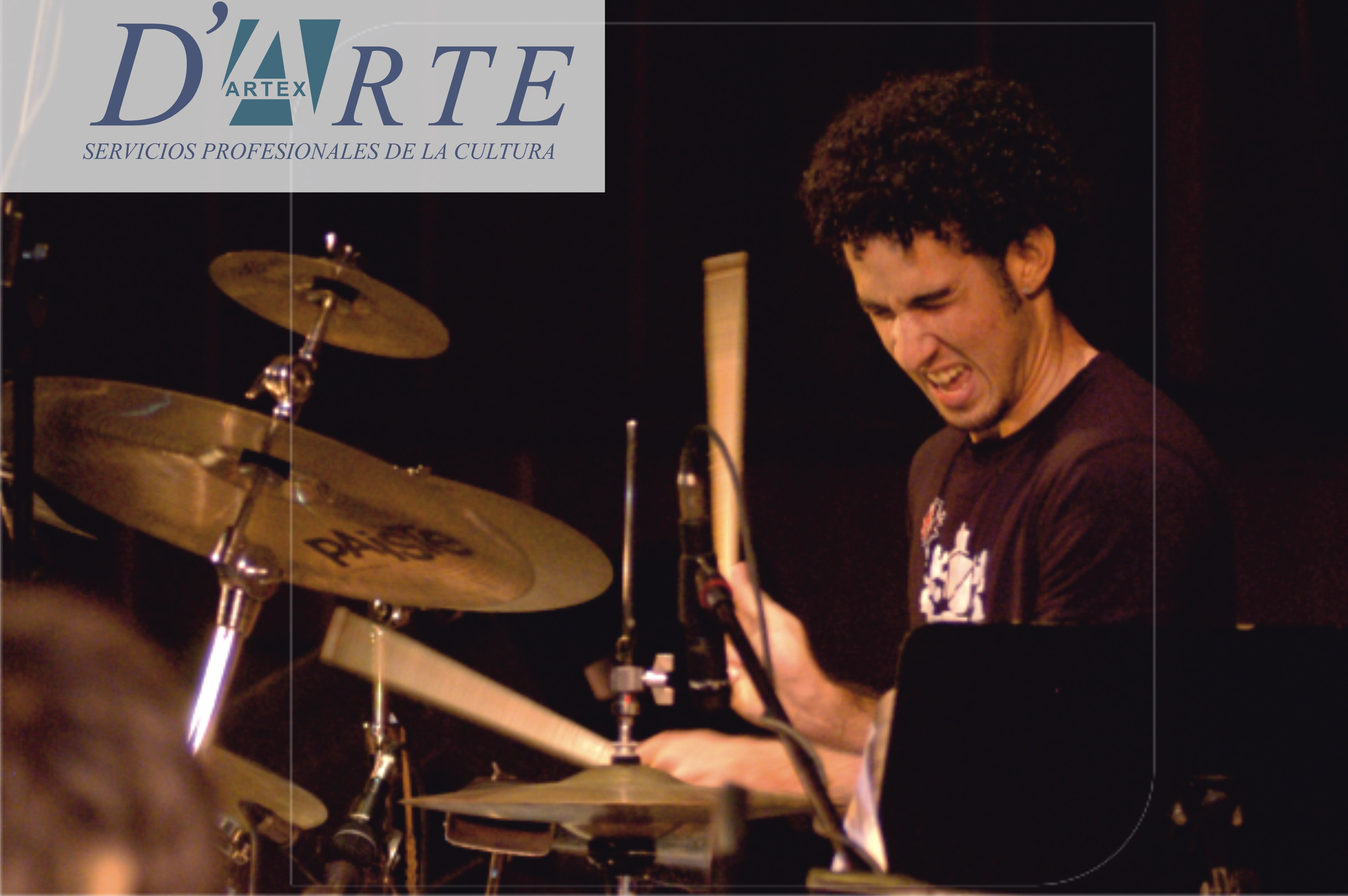 D´ARTE: Artex’s Professional Service Agency