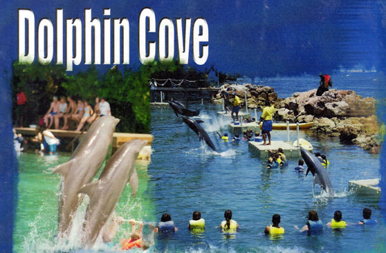 Jamaica Gets Major Tourism Boost from Mexico