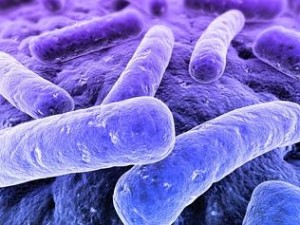 Health Officials Urge Florida Beachgoers to Take Precautions against Flesh-Eating Bacteria