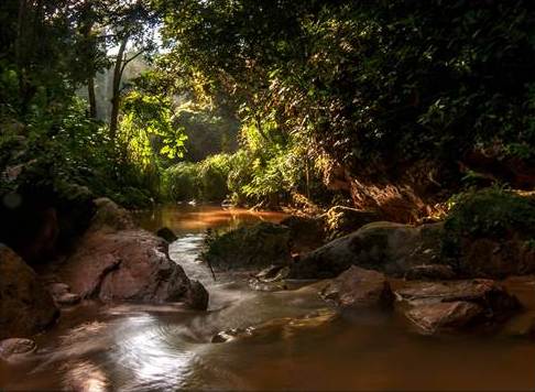Cuba’s Top Nature Photography Contest Comes to a Close