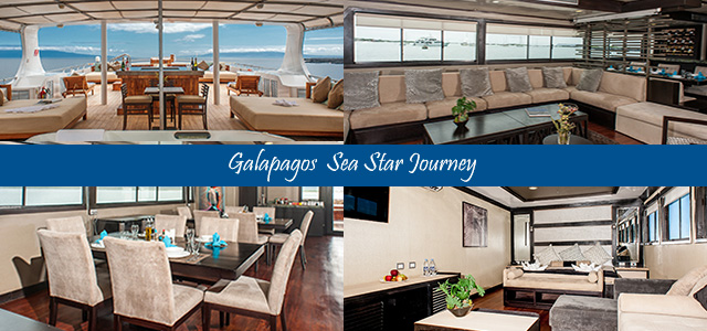 Galapagos Sea Star Journey Now Provides the New Galapagos Cruising Experience
