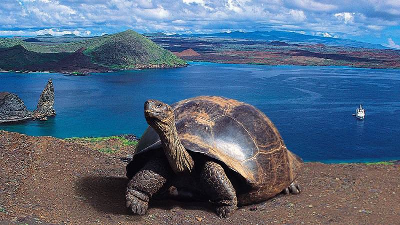 Celebrity Flora to Sail to the Galapagos in May 2019