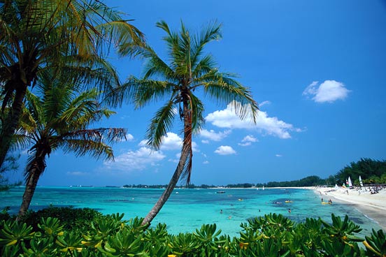 Bahamas, Caribbean Taking Green Tourism Seriously