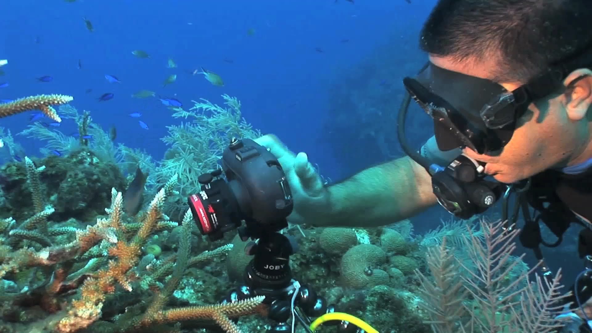 2015 IMASUB Underwater Event Comes to a Close