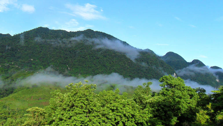 Mexico Tourism Board Supports More Protection of Local Biodiversity