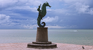 Puerto Vallarta Returns to Normal after Hurricane Patricia
