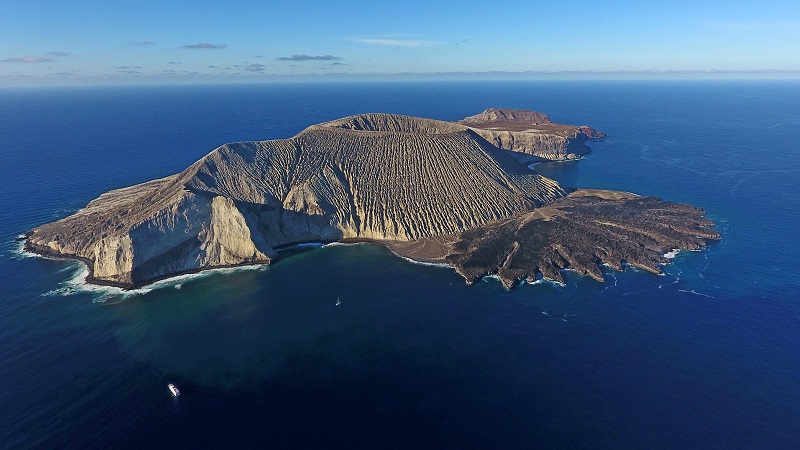 Mexico Establishes Huge New Ocean Reserve