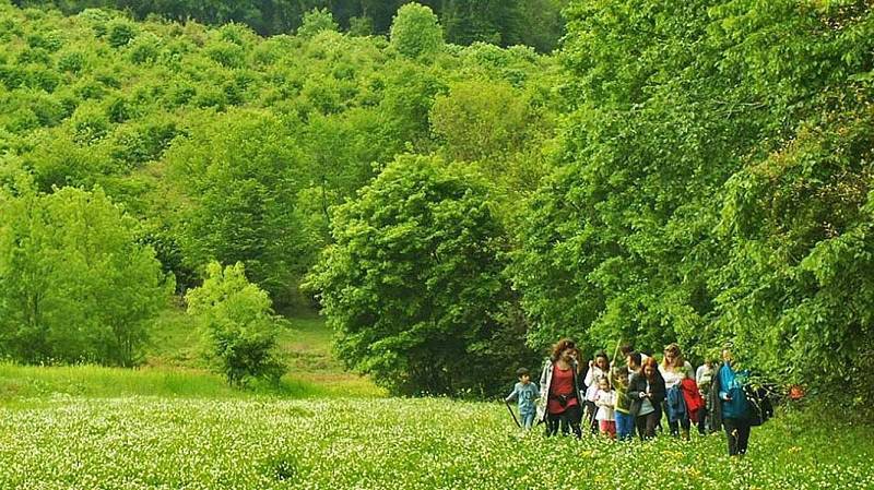 WTTC Urges Travel Industry to Report Sustainability Impact