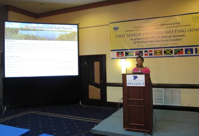 Top Political, Business Leaders to Join Forces at the Caribbean Summit