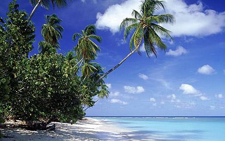 Tobago Wants “Separate Airline” to Service Trinidad-Tobago Route