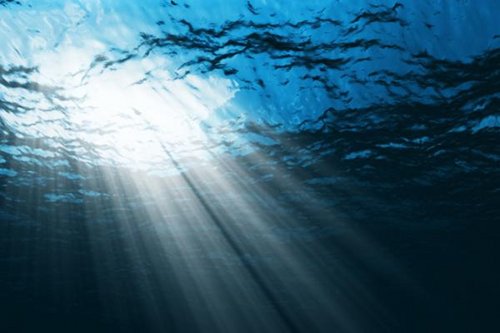 Caribbean Needs Laws to Regulate Waste Disposal in Waters, CTO Head Says