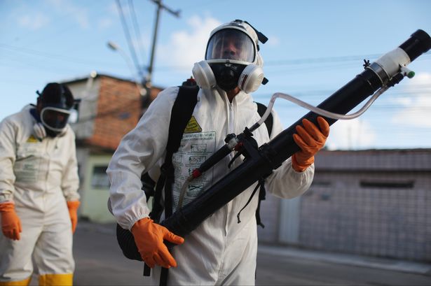 Environment in Focus as Zika Spreads Across the Caribbean