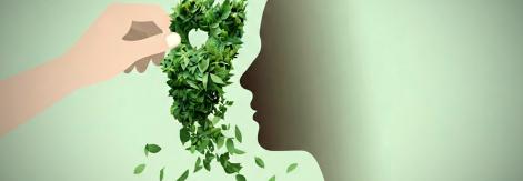 greenwashing