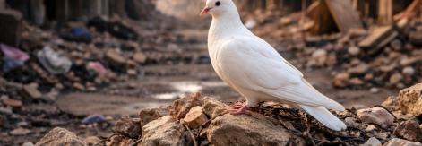 Middle East ceasefire