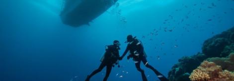 Italian divers off Maldives